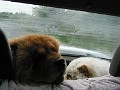 20040516_ 011